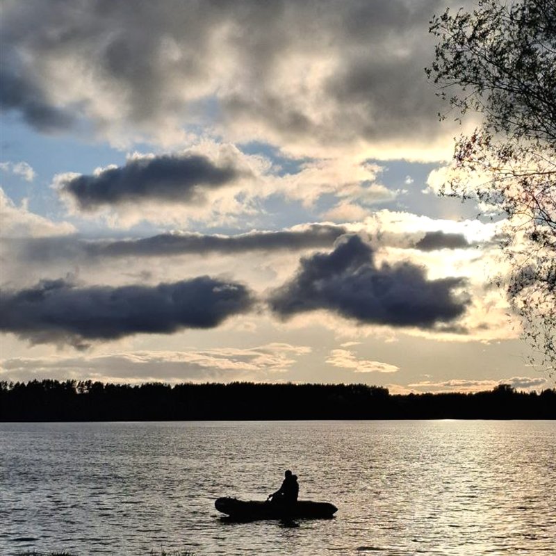 Вечерняя вода и сосновый берег Можайского водохранилища
